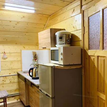 Apartment за горбами Yaremche