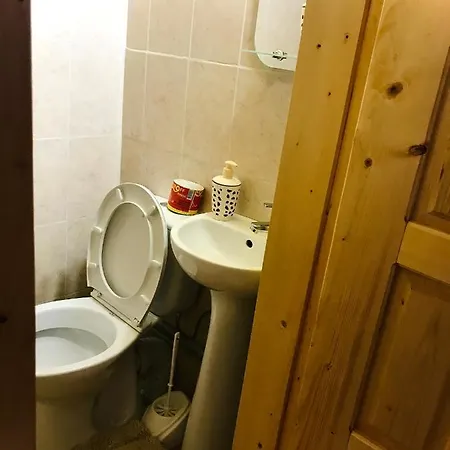 за горбами Apartment *